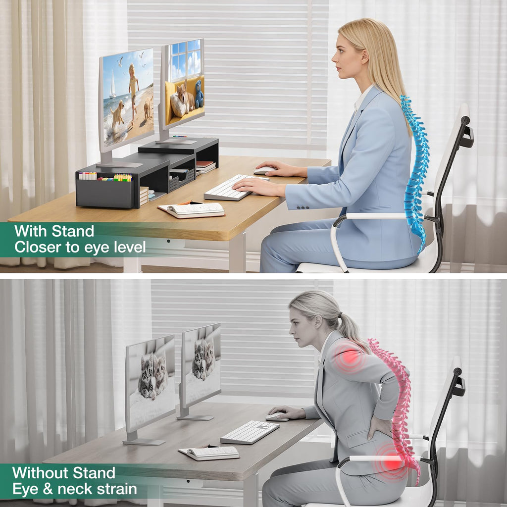 Desk Organizer and Accessories, 2-Tier Computer Monitor Stand Black