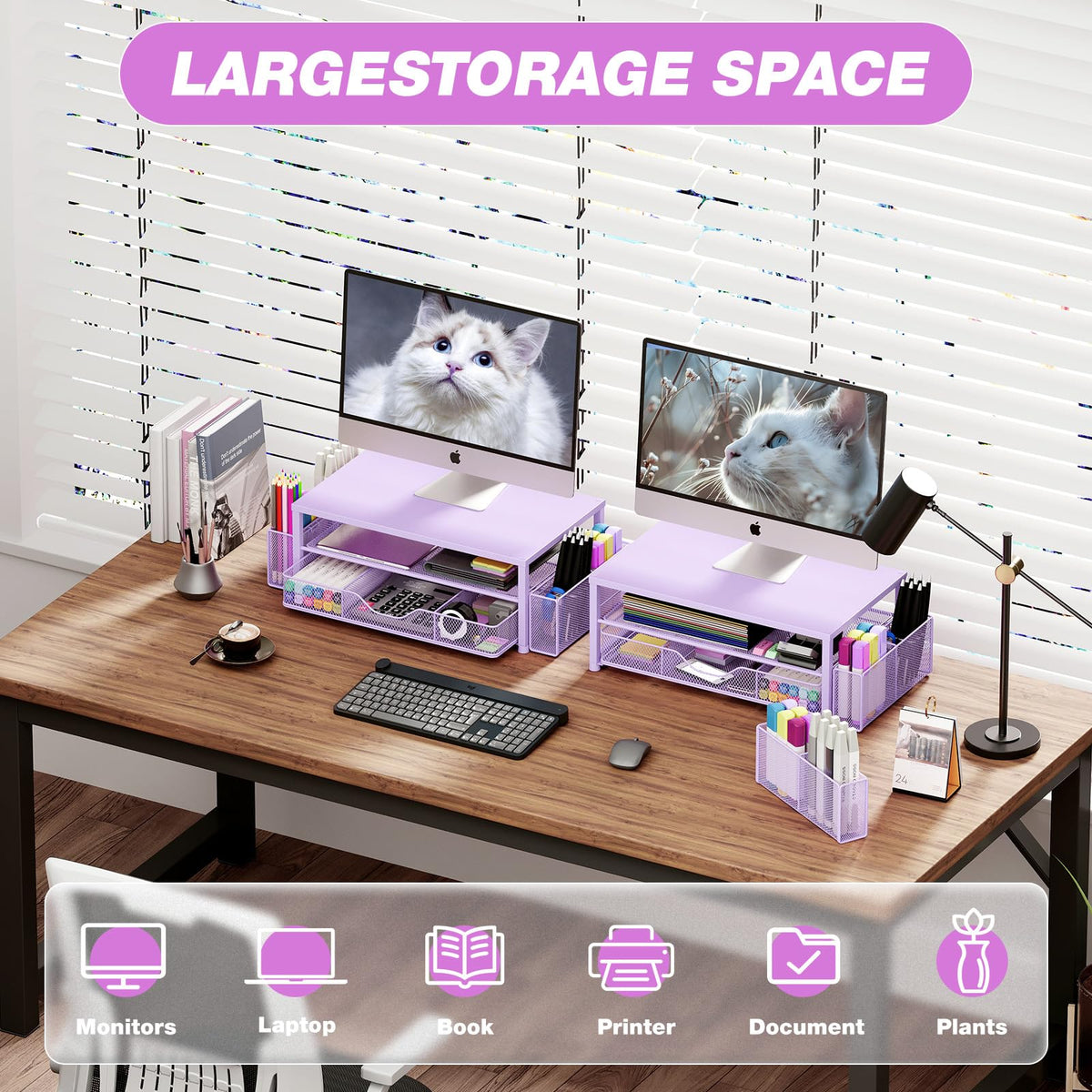 Desk Organizer and Accessories, 2-Tier Computer Monitor Stand Black