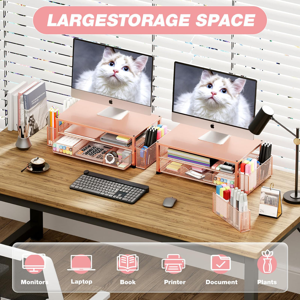 Desk Organizer and Accessories, 2-Tier Computer Monitor Stand Black