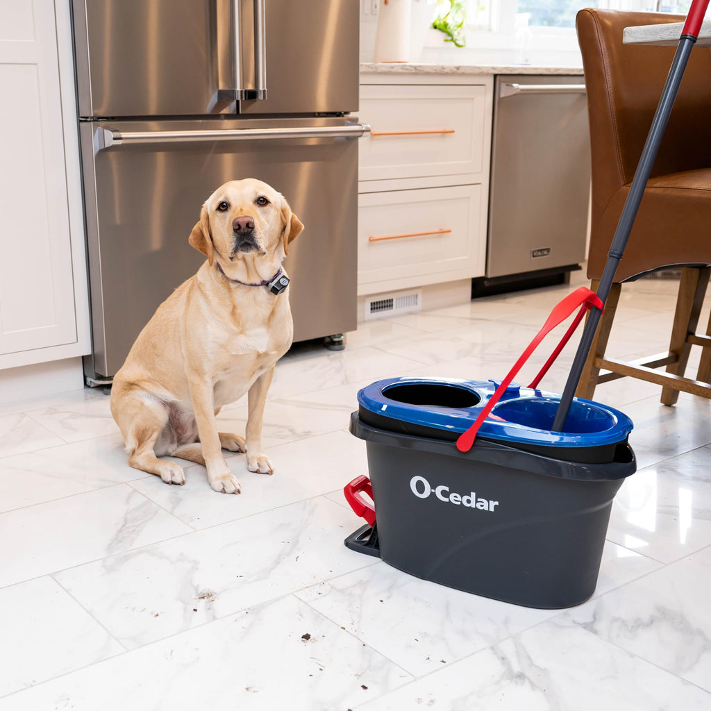 O-Cedar RinseClean Clean Water Spin Mop and Bucket System + 2 Extra Mop Heads | Clean with Clean Water | Removes 99% of Bacteria