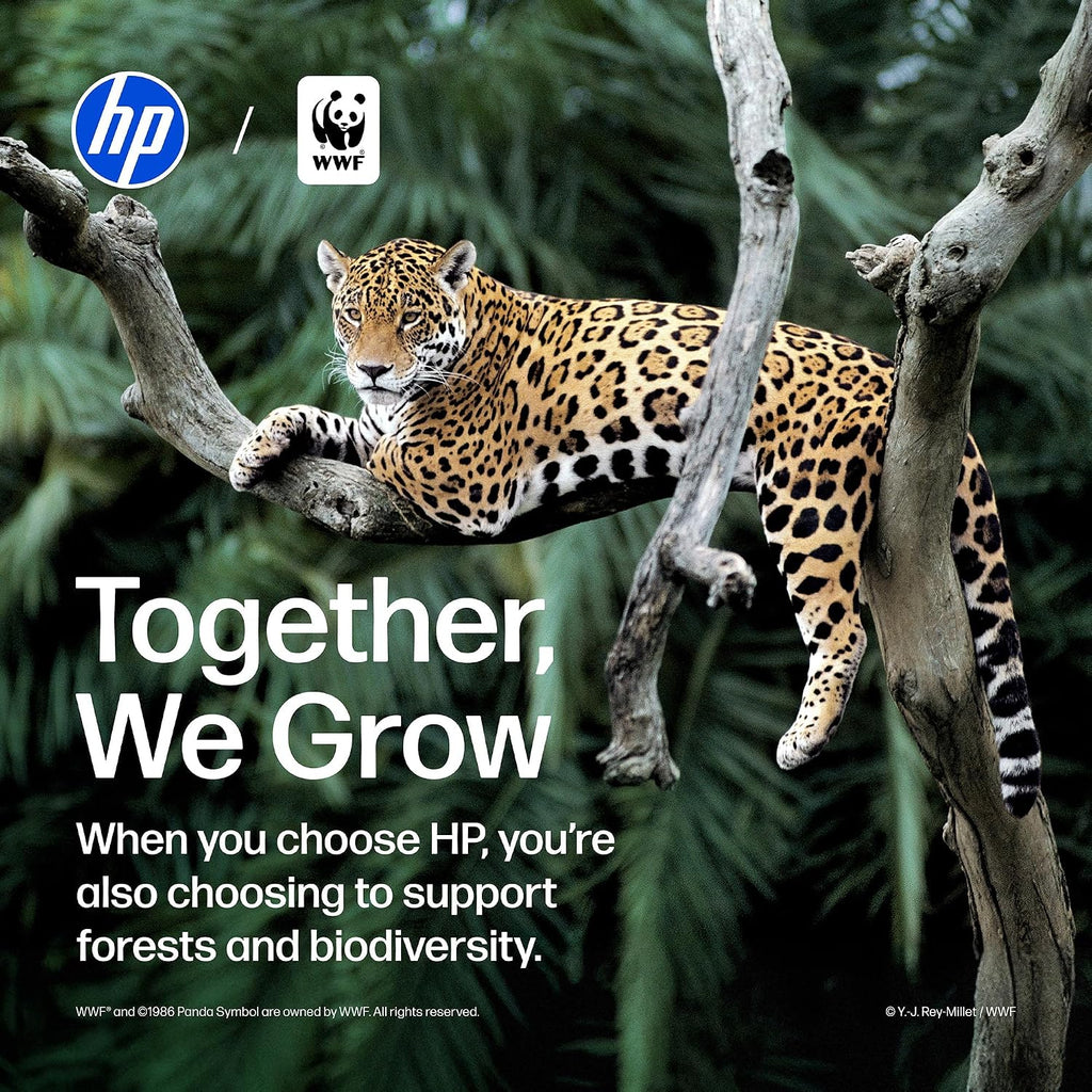 HP DeskJet 2955 | Wireless All-in-One Color Inkjet Printer (A24HJA)